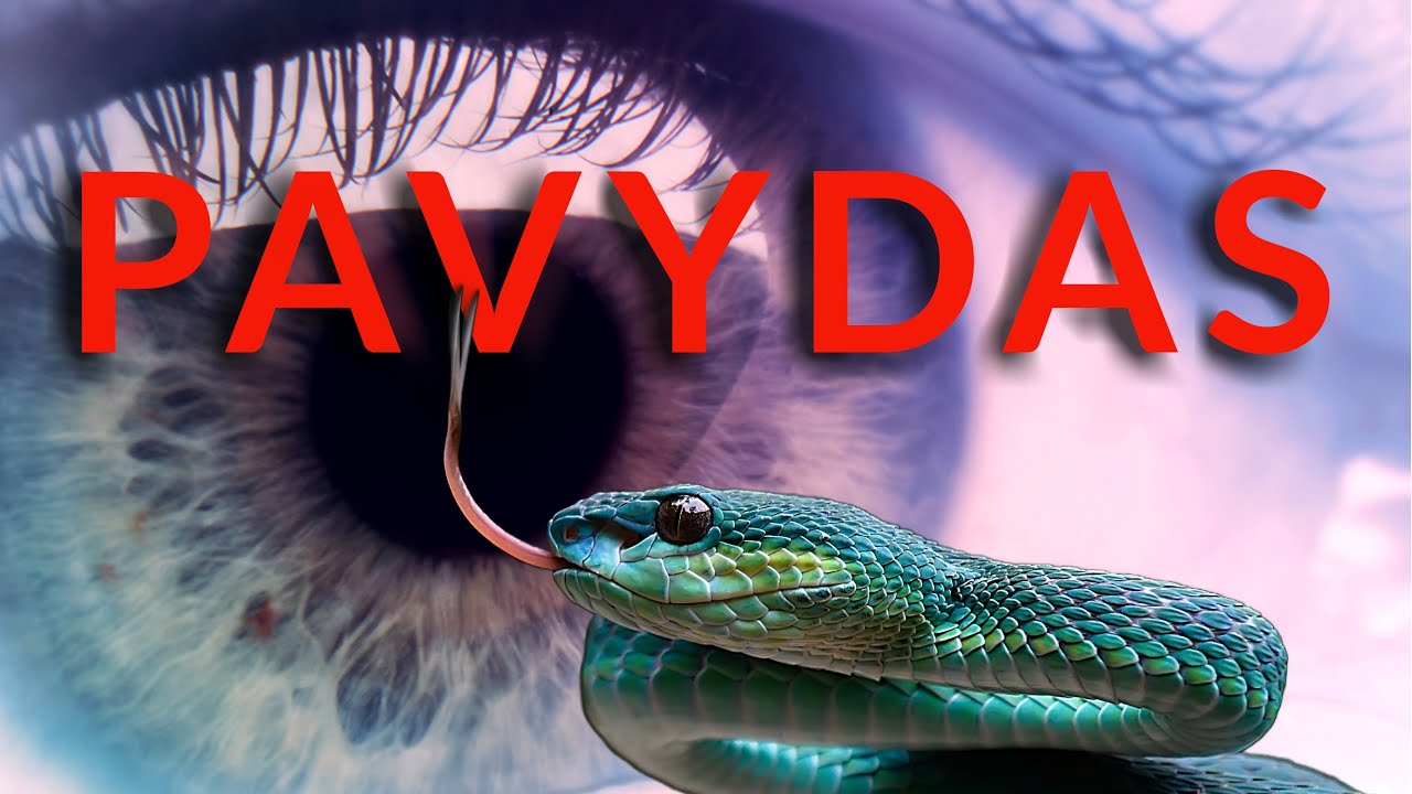 Pavydas