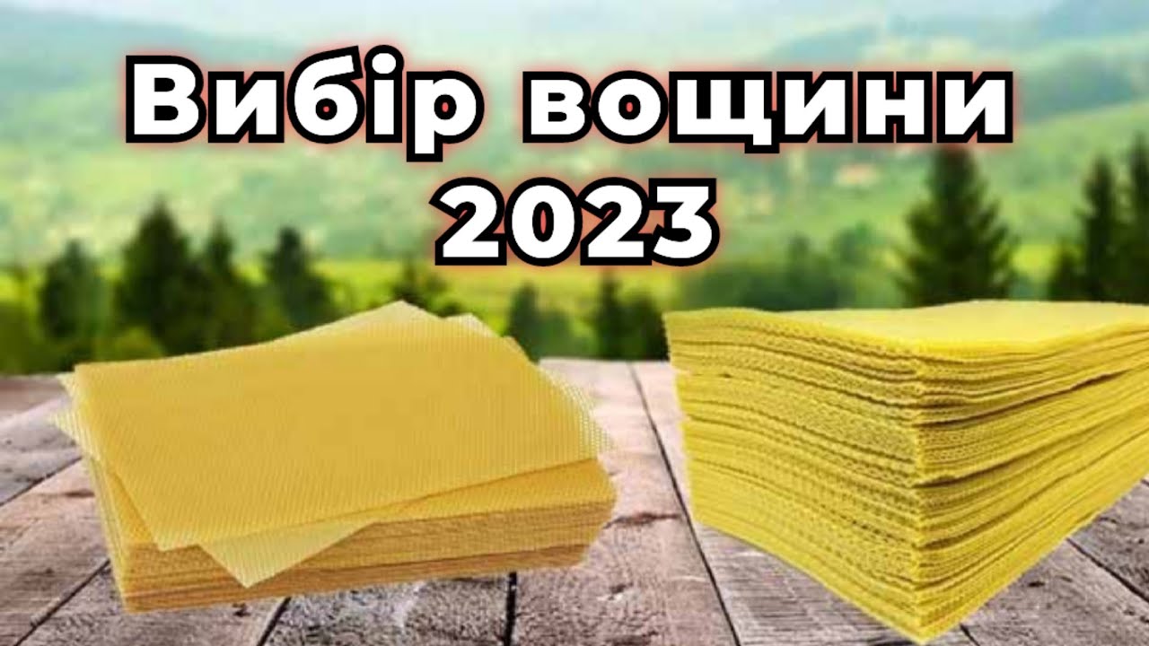 Яку вощину вибрати в 2023 році? Виробники вощини Україна