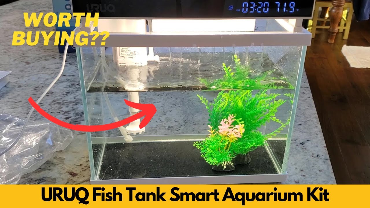 Стоит ли оно того? Комплект для умного аквариума URUQ Fish Tank — самоочищающаяся многослойная фи...