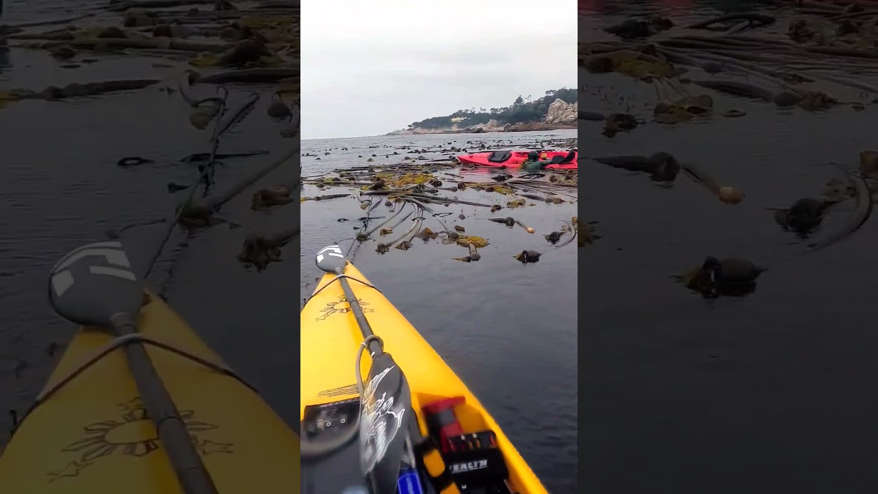 #kayaking in front of mansions