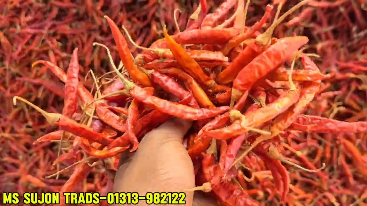 আসলামুআলাইকুম।  পঞ্চগড়  থেকে শুকনা মরিচ নিতে যোগাযোগ করুন  01313982122 whatsapp