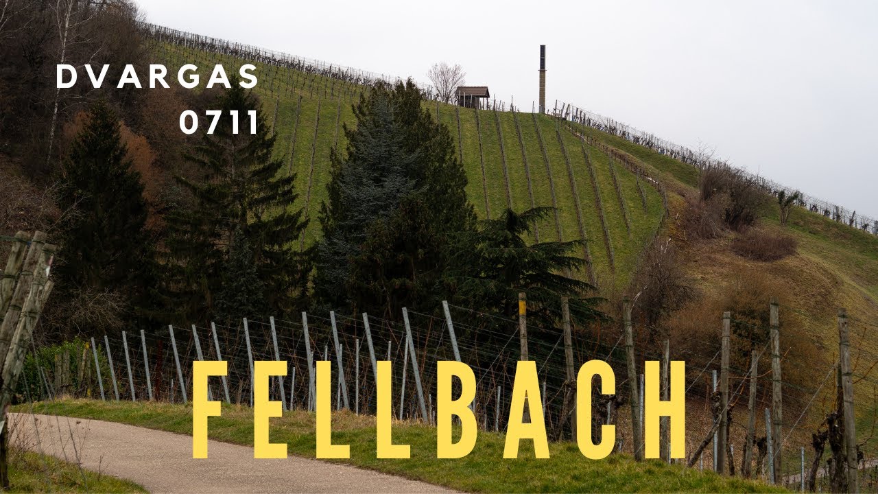 Stuttgart | Fellbach | Winter | March 2023