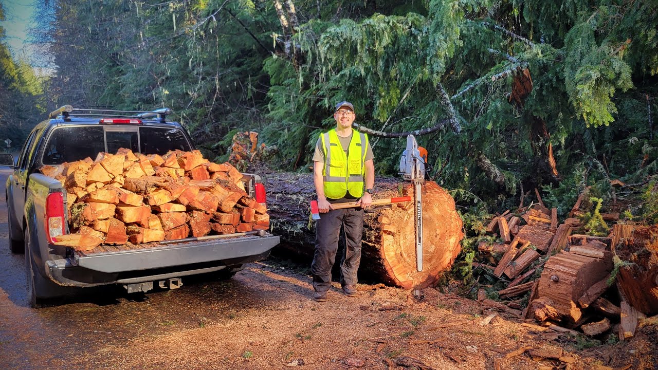 3 More Days of Roadside Firewood Gathering from the National Forest