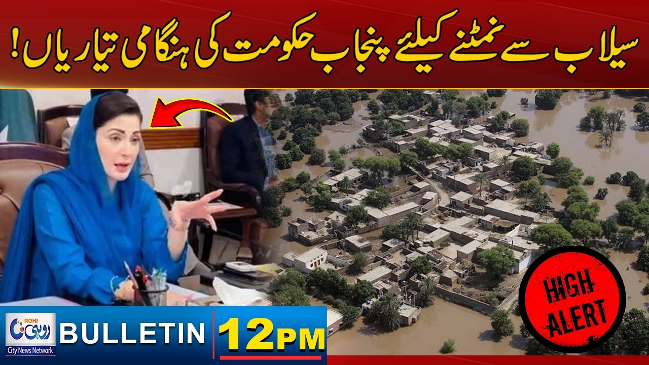 Punjab Government's Preparations To Deal With Floods | 12pm News Bulliten l 10 Feb 2026 l Rohi