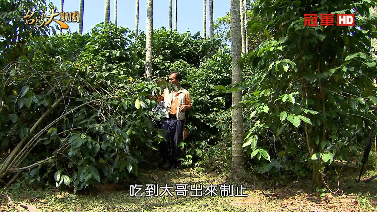 《台灣大觀園》尋找天空的秘密 1/4