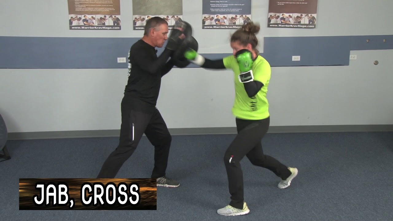 Warrior Training Systems Warrior Combos 1 to 4
