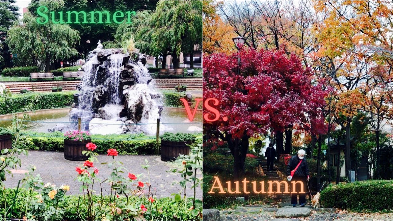 Japanese Local Park: Summer vs Autumn  ||  公園を散歩：夏・秋  #japan  #park  #asmr