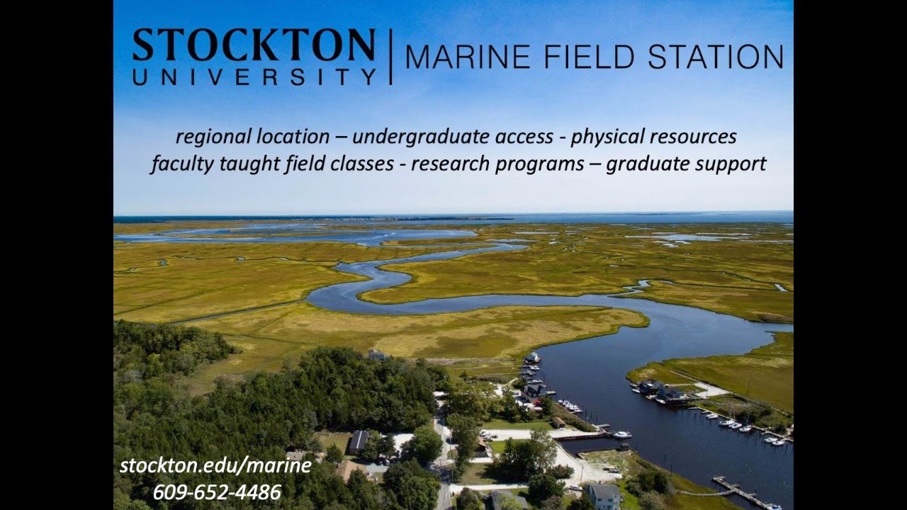 Stockton University Marine Field Station Walking Tour