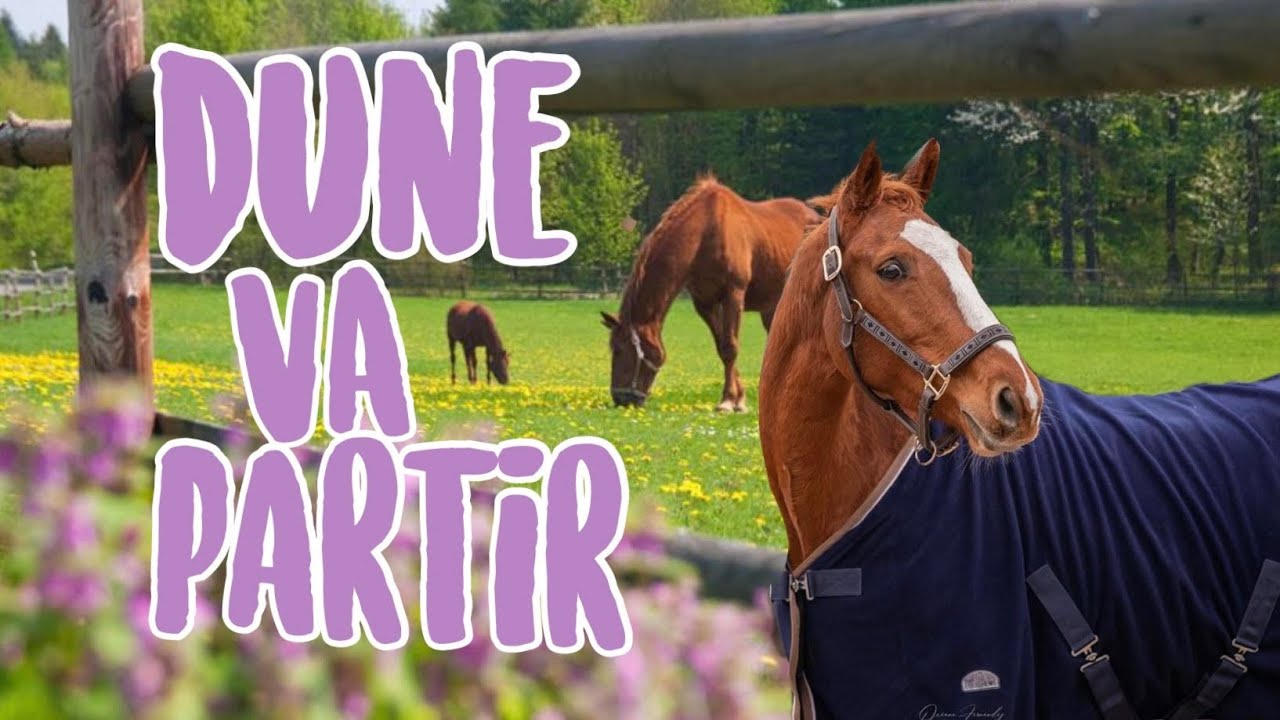 NOTRE HISTOIRE AVEC DUNE AURA ÉTÉ COURTE...