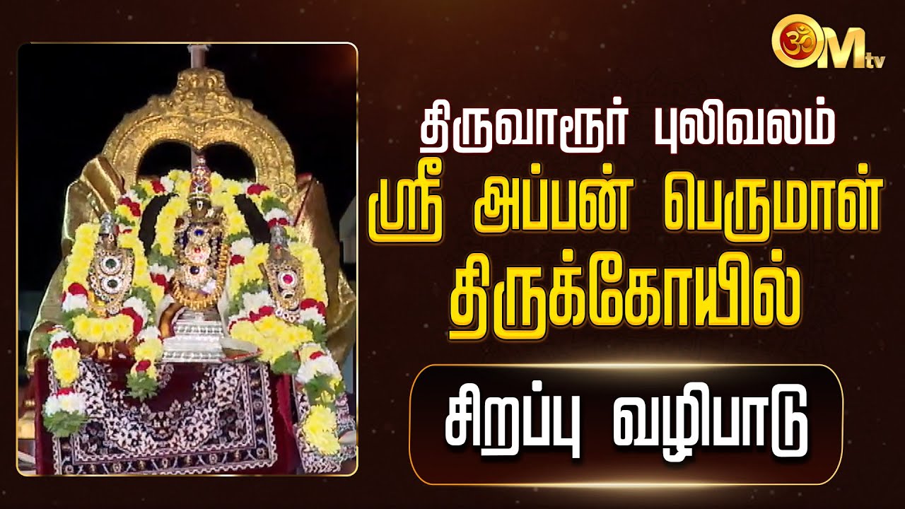 திருவாரூர் ஸ்ரீஅப்பன் பெருமாள் கோயில் சிறப்பு வழிபாடு | Sri Appan Perumal Temple | Thiruvarur | OMTV