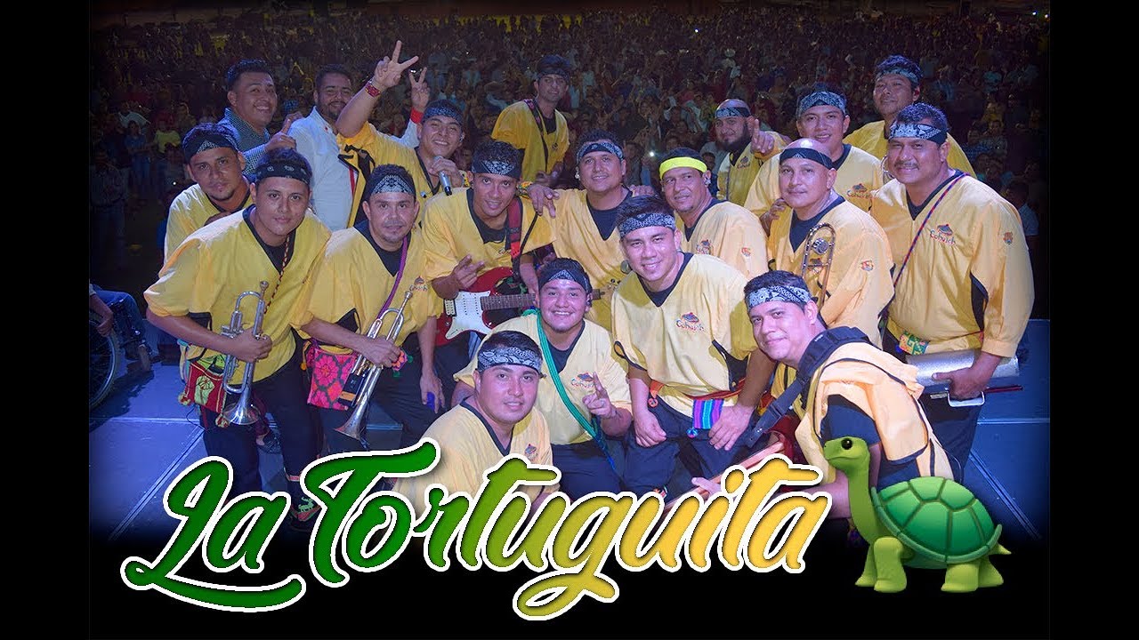 La Tortuguita 🐢