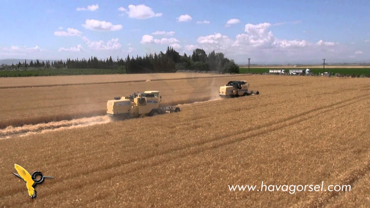 PROGEN BUĞDAY HASAT HAVA ÇEKİMİ - HAVA GÖRSEL MEDYA