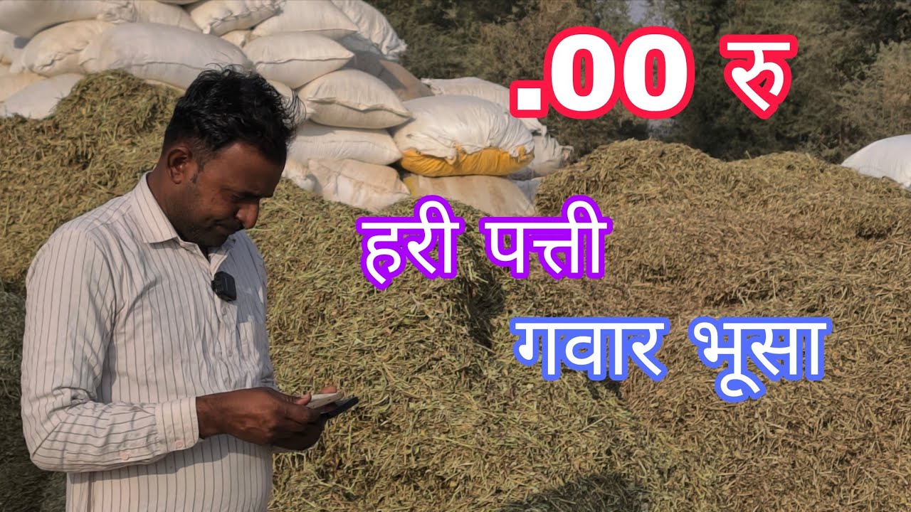 हरी पत्ती और गवार भूसा आ गई बिकने को 