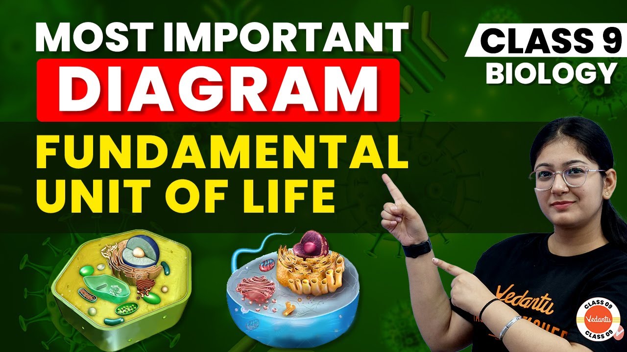 Biology Diagram Series | Fundamental Unit of Life: Most Important Diagrams | CBSE Class 9th Science