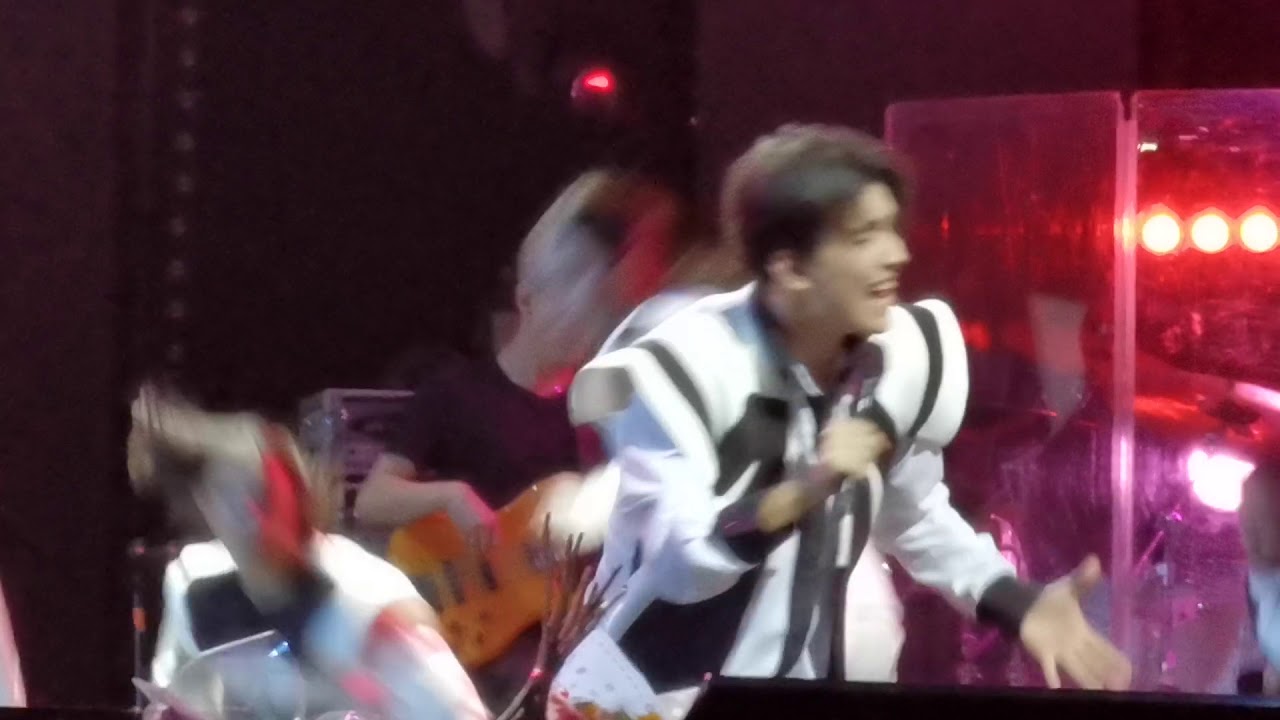 The love of tired swans/Dimash Kudaibergen/St. Petersburg/29.11.2019