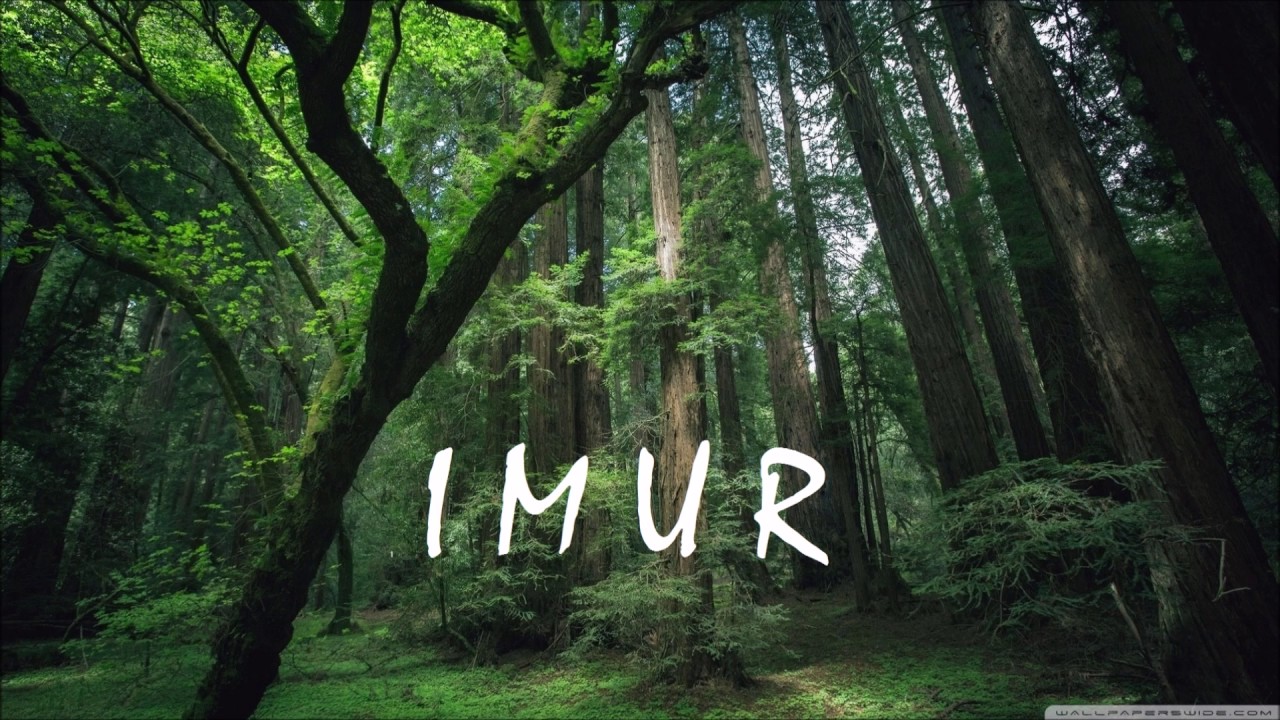 I M U R - Breathless