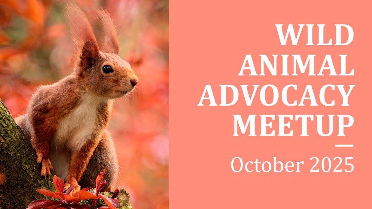 Wild Animal Advocacy meetup
