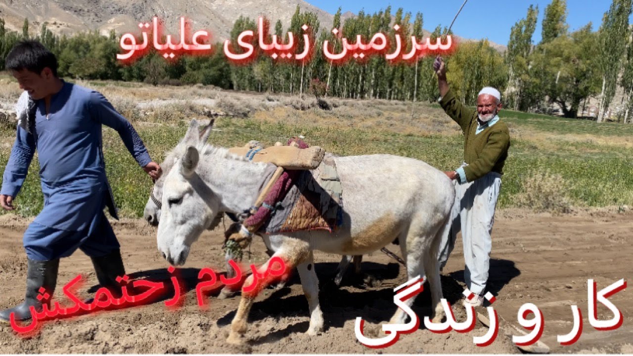 Travel to the beautiful village of Oliato   سفر به قریه زیبای علیاتو
