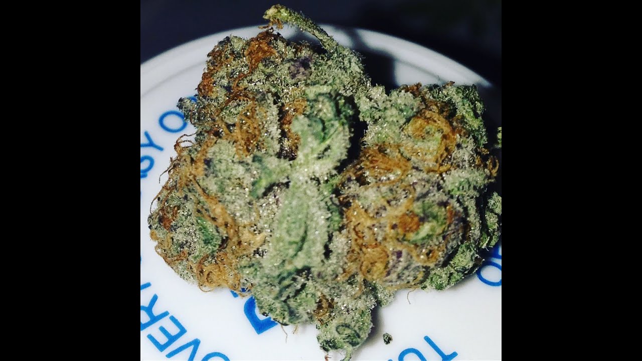 Purple Kush Strain Review