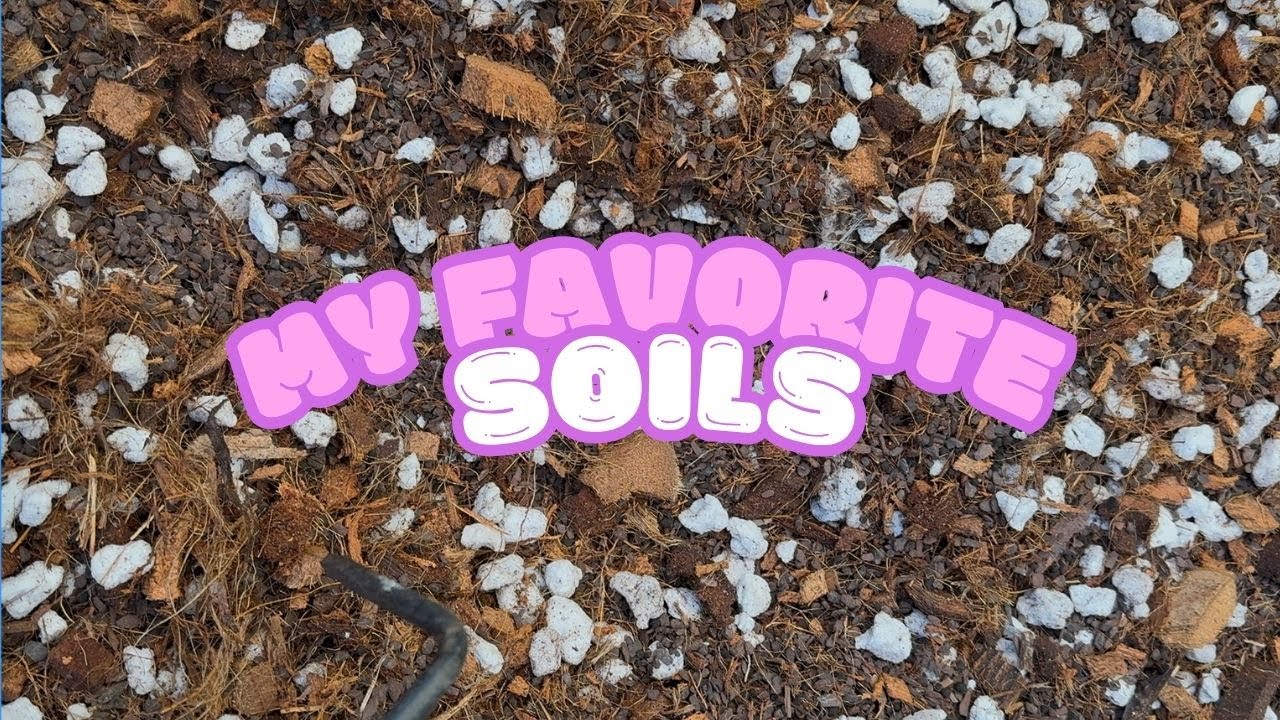 Escape the common mistakes: Choosing the perfect substrate for rare import plants