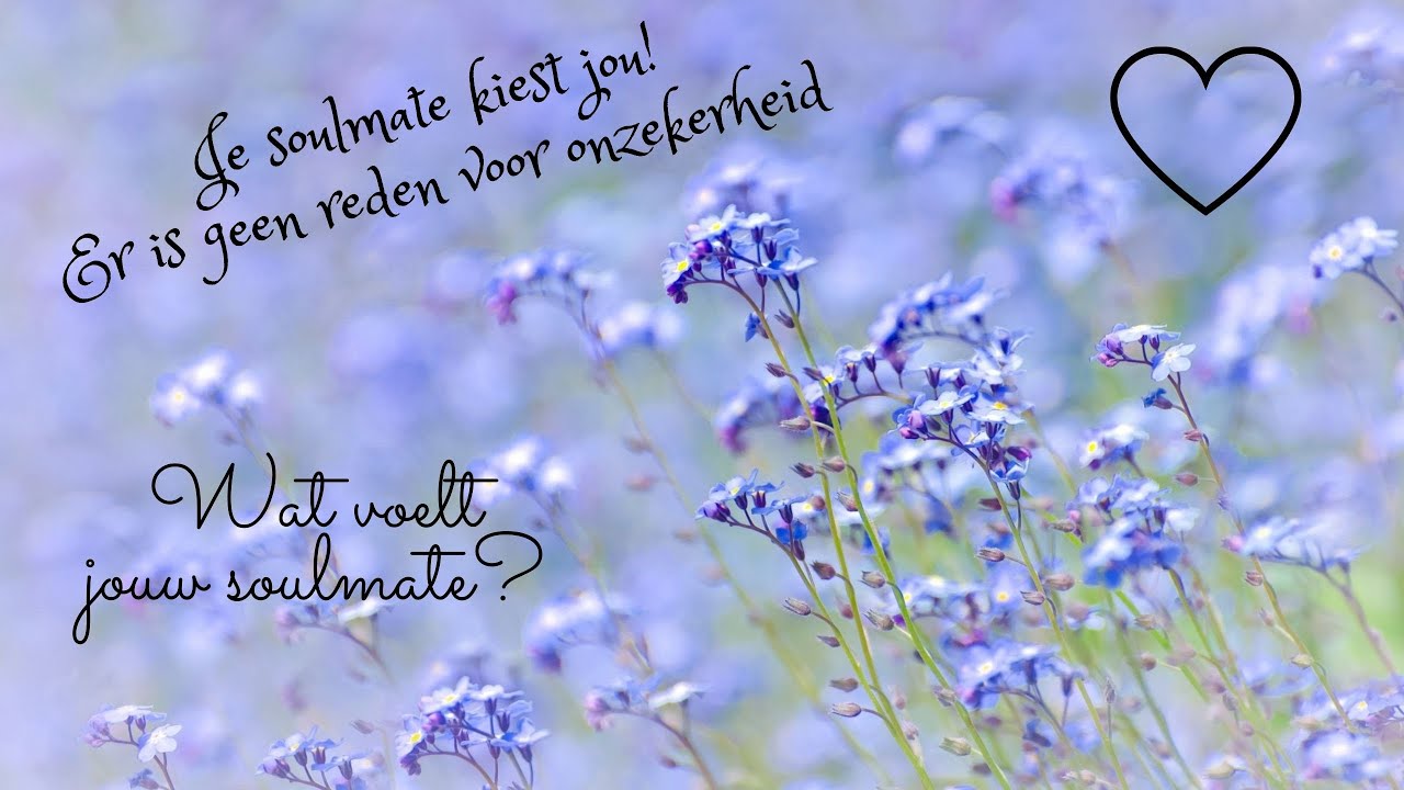 Wat voelt jouw soulmate? - Je soulmate kiest jou! Er is geen reden voor onzekerheid - Tarot Reading