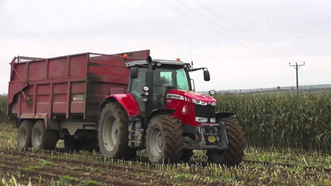 Maize 2014 Mark Andrews Ltd