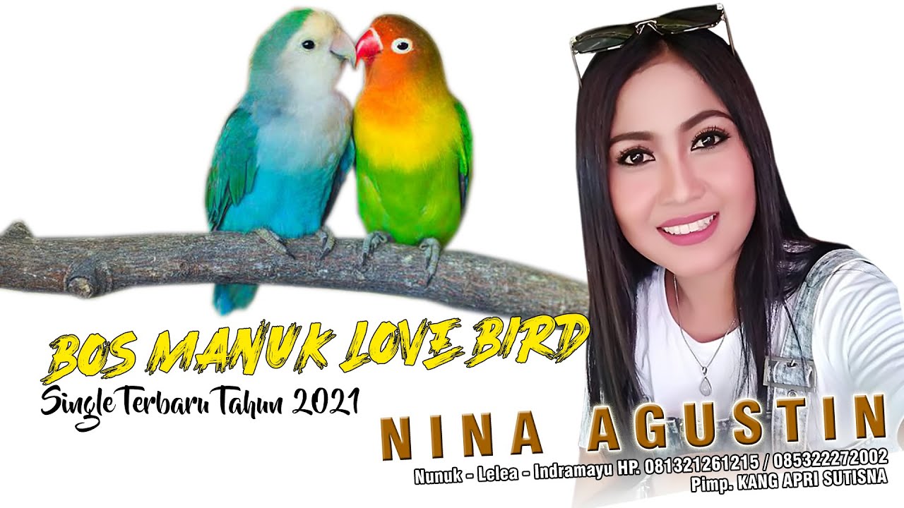 SINGLE TERBARU 2021 NINA AGUSTIN | BOS MANUK LOVE BIRD