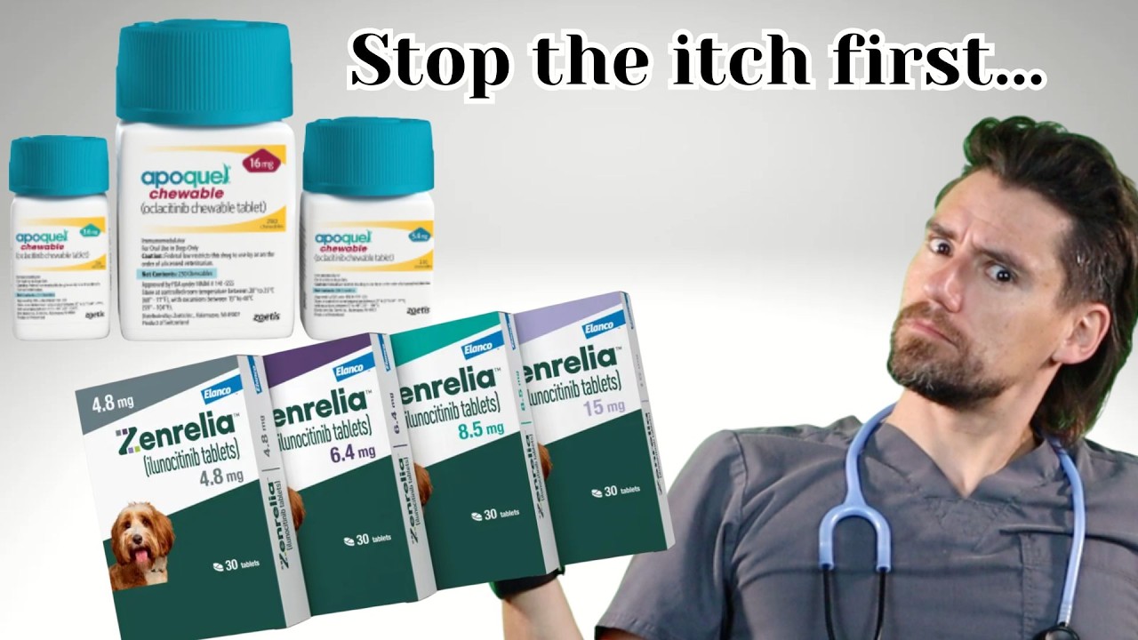 Apoquel, Zenrelia, and all the itchy meds.  Lets help dogs feel better.