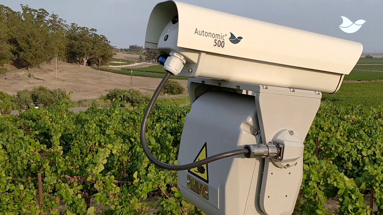 Autonomic laser bird deterrent at a California vineyard