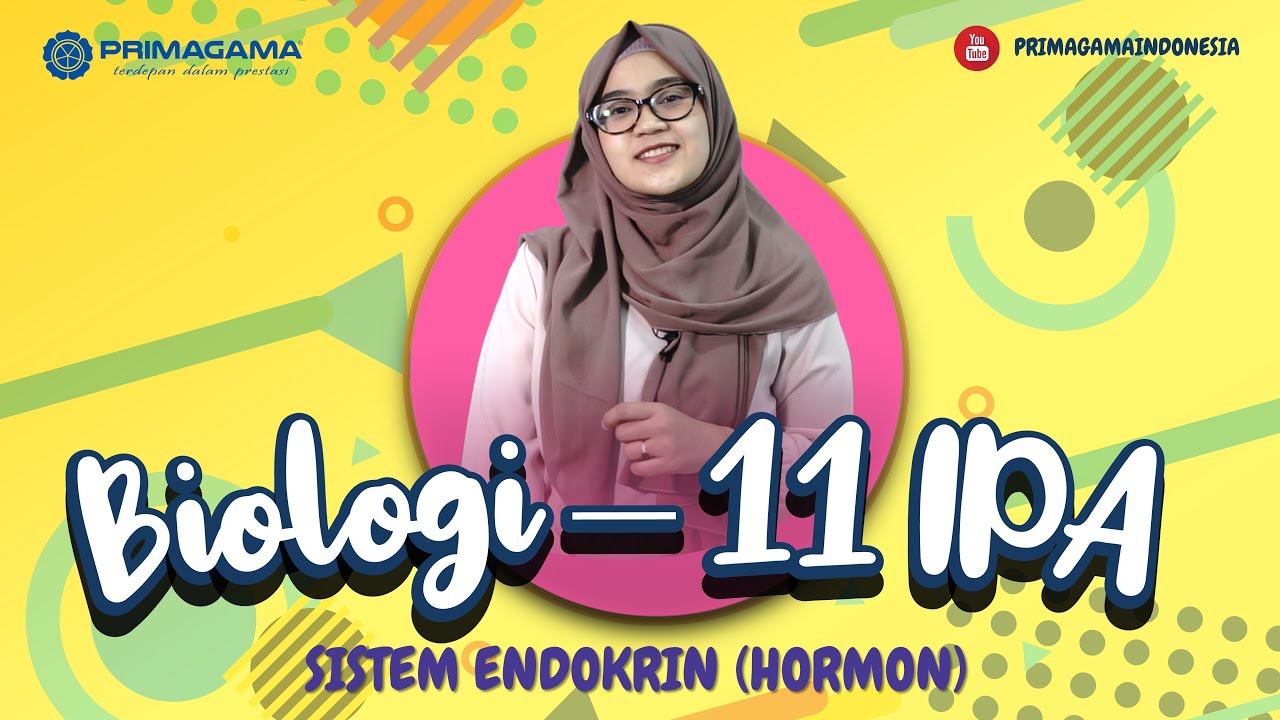 Video Pembelajaran Online Primagama - Biologi 11 SMA IPA - Sistem Endokrin (Hormon)