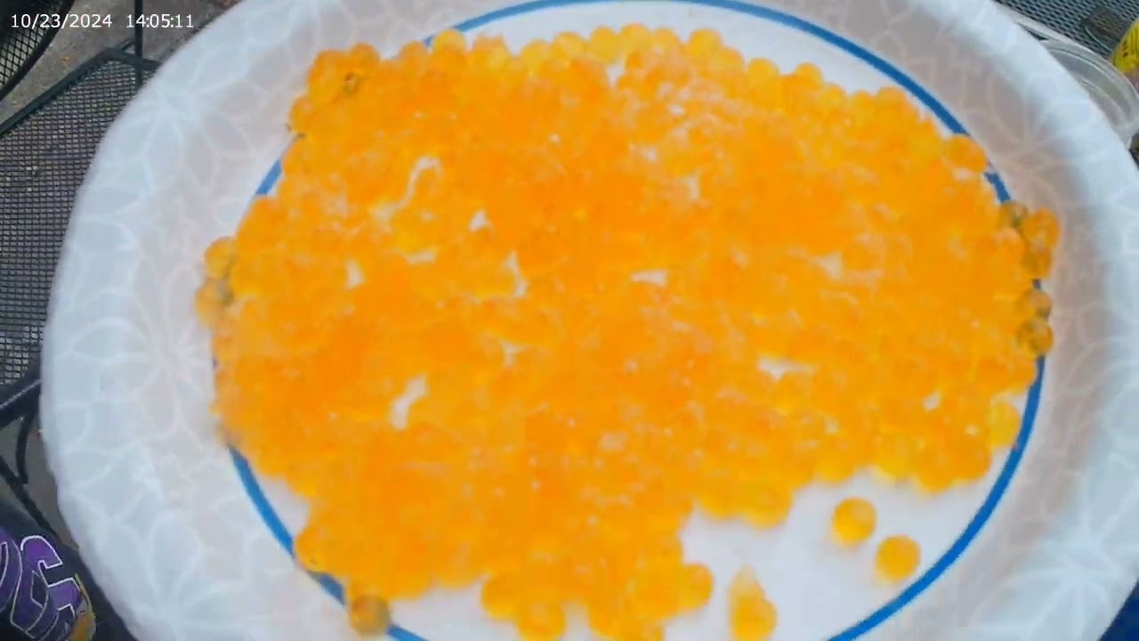 4 Different Ways,,I Cure Salmon Eggs for Steelhead Bait!!!