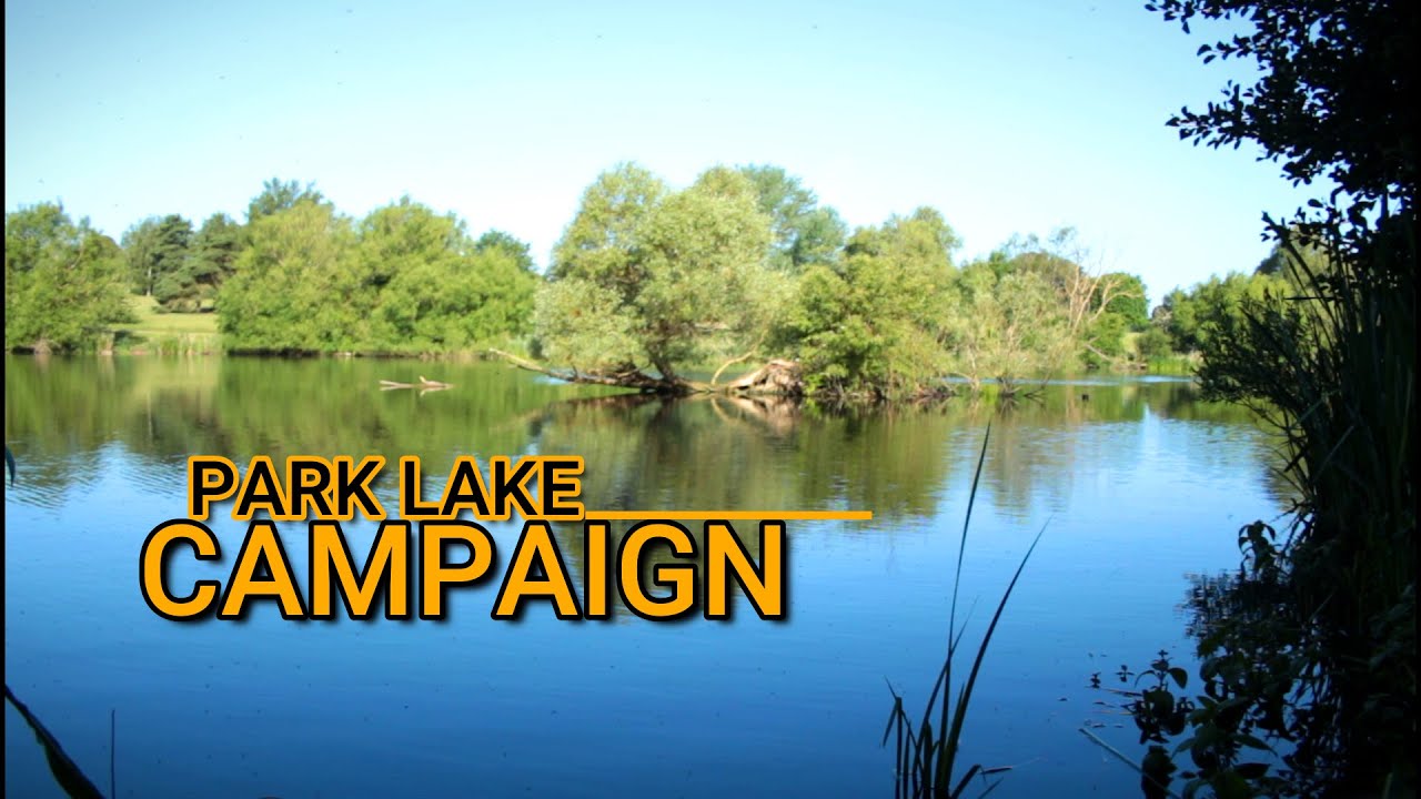**PARK LAKE CAMPAIGN** June ꟾ Carp Fishing 2020