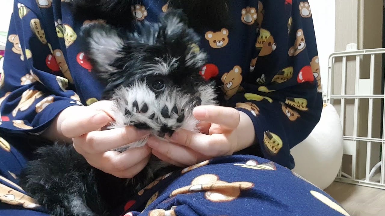 김홍삼 이빨 보려고 만든 영상(발바닥은 덤)