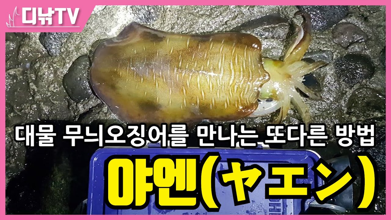 밤바다에 울리는 드랙음에 심장이 덜컥! 대물 무늬오징어를 만나는 또다른 방법 '야엔(ヤエン)'