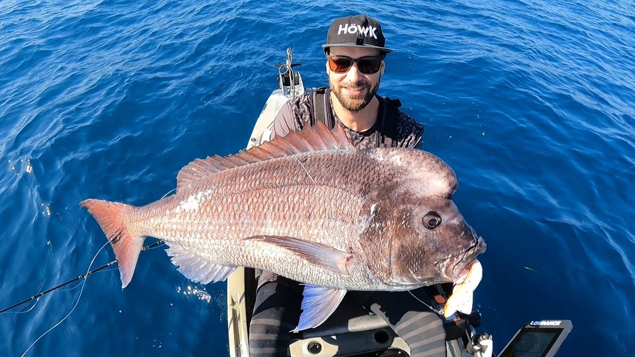 💥CORCOVA💥 con HÖWK HYBRID kraken🦑🐟