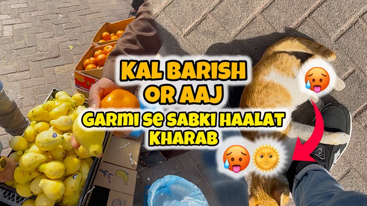 Kal Barish 🌧️ | Aaj Garmi 🥵 | Dammam Saudi Arabia Vlog | Hafiz Rafay Khan