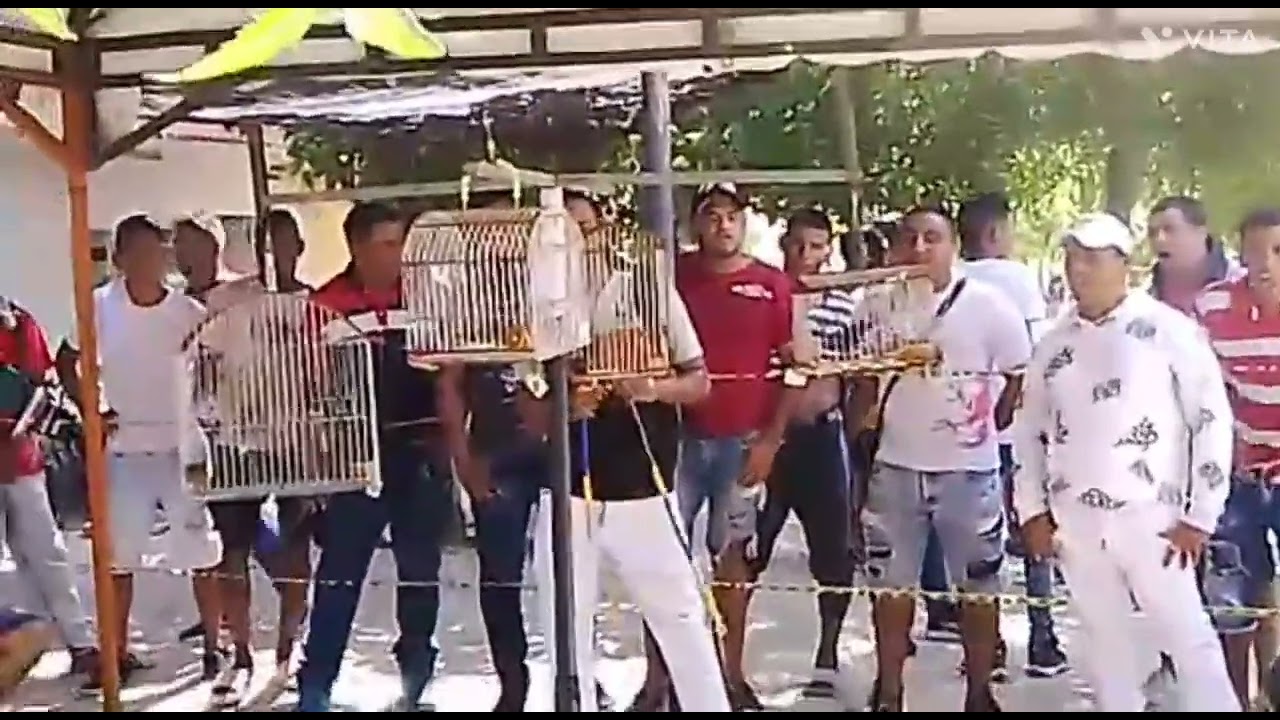 final del concurso chirrio santo tomas       18 de diciembre
