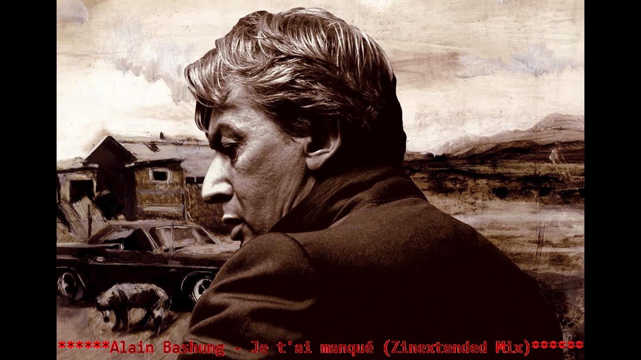 Alain Bashung / Je t'ai manqué (Zinextended Mix)