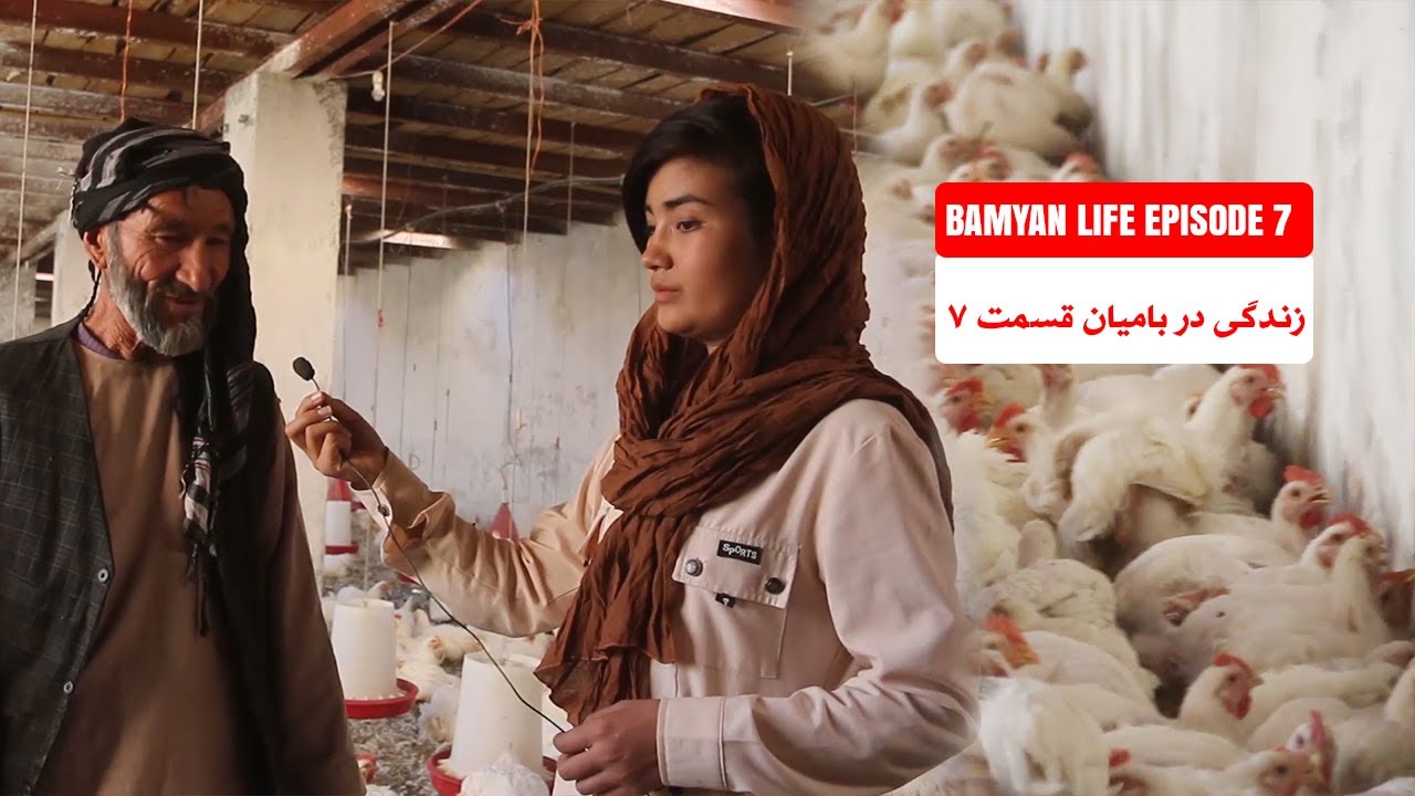 فارم مرغ داری در بامیان  | Bamyan Life Episode 7