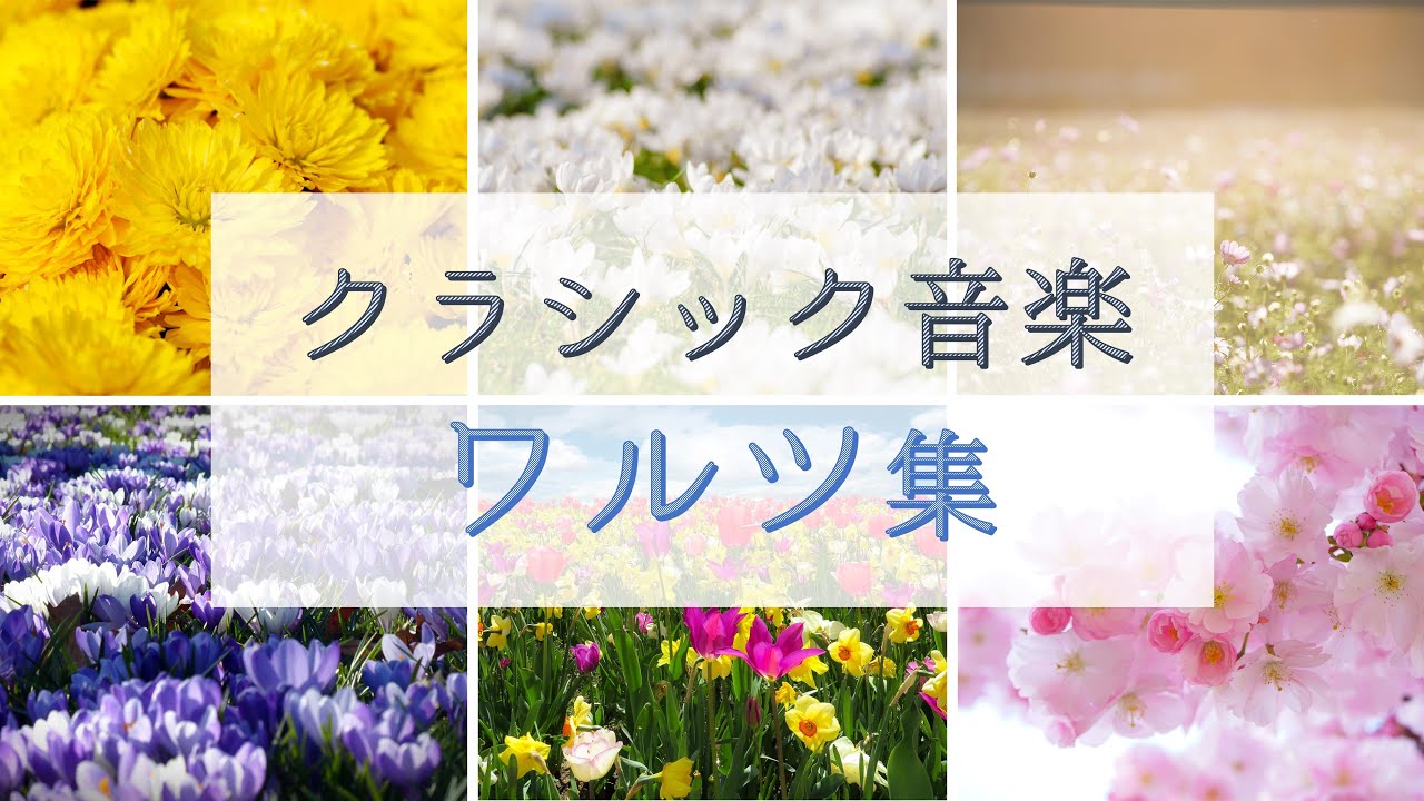〘クラシック音楽〙ワルツ有名曲集　”美しい花々の映像と共にお楽しみください”