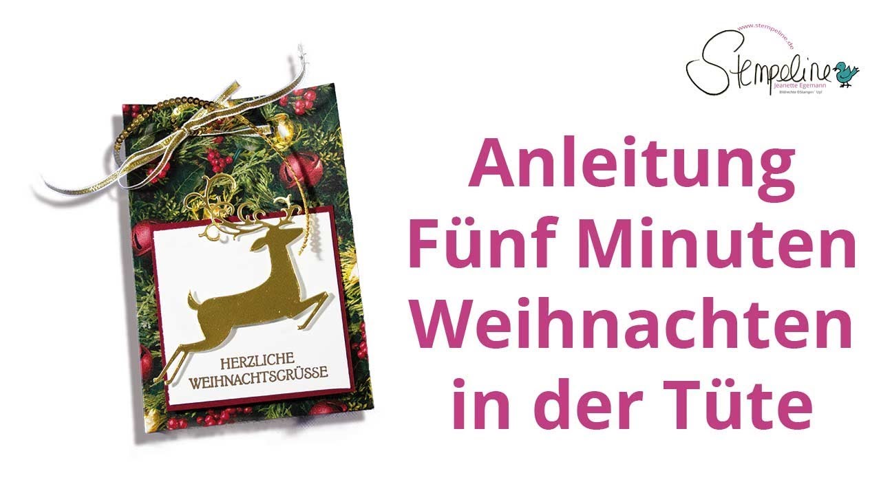 Fünf Minuten Weihnachten in der  Tüte 🎄 12 Sonntage bis Weihnachten - So. 1
