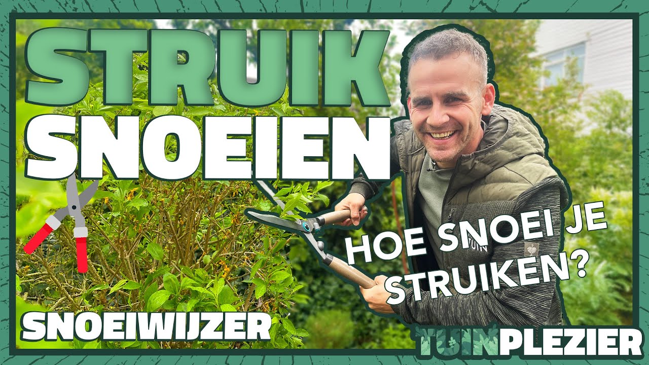 Hoe snoei je STRUIKEN zonder ze te verpesten? ✂️ 5 Essenti&euml;le Tips! | Tuinplezier 🪴