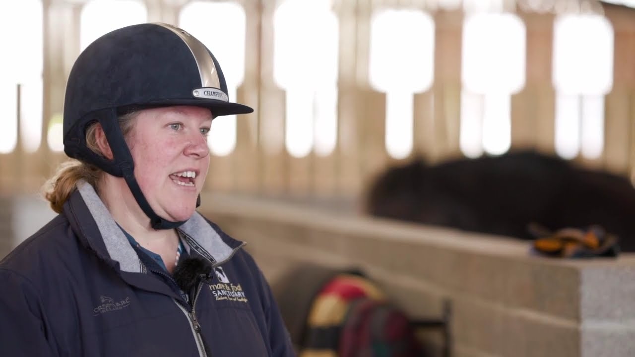 Is my horse a healthy weight?
