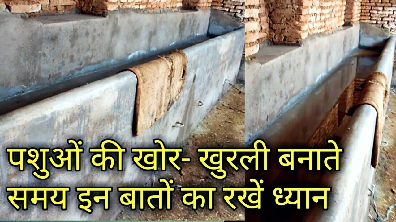 Gay Bhains Ki Chara Charne Ki Khor Khurli Kaise Banaye,Dairy Farm Shed Design