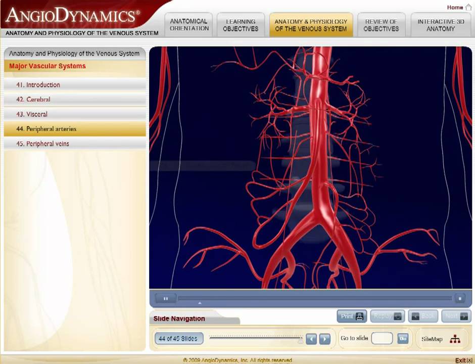 Anatomy Modules Medtrainer - Interactive medical training