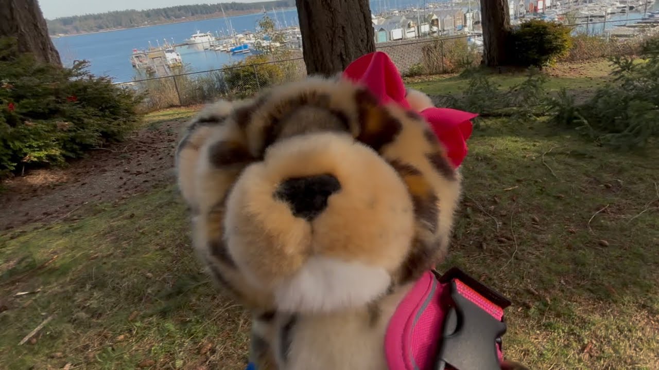 Quick outing with Secret!
