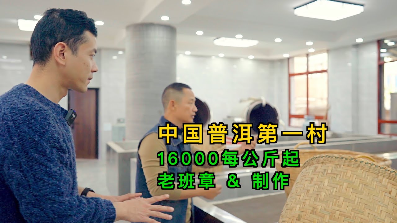 每公斤1万6起！普洱茶天花板？跟着老茶人，了解老班章茶叶及制作