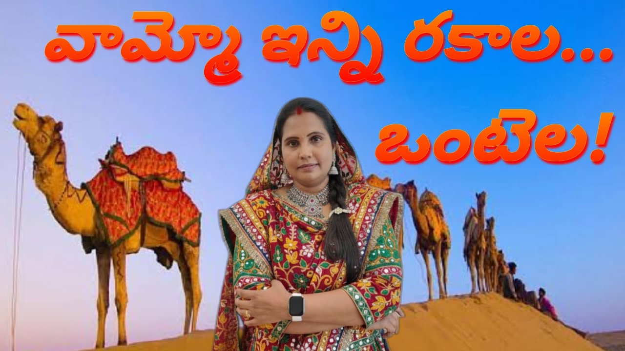 The ICAR-National Research Centre on Camel (NRCC) is spot located in Bikaner, Rajasthan 
