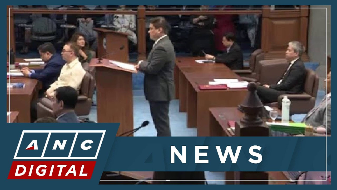 German on VP Sara message to lawmakers: 'You got 2 years, think about your political future' | ANC