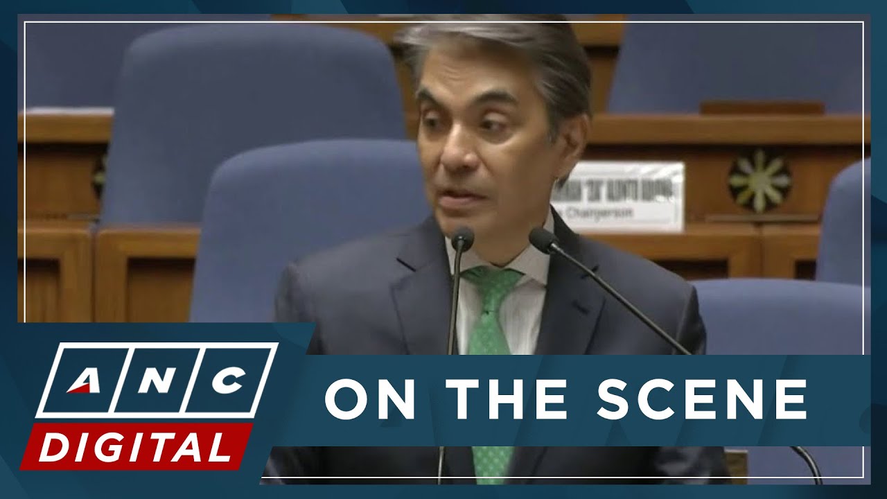 MOMENT: Rep. Toby Tiangco asks for small committee report on 2025 budget | ANC